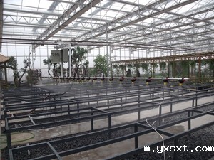 温室大棚日常管理的五点建议