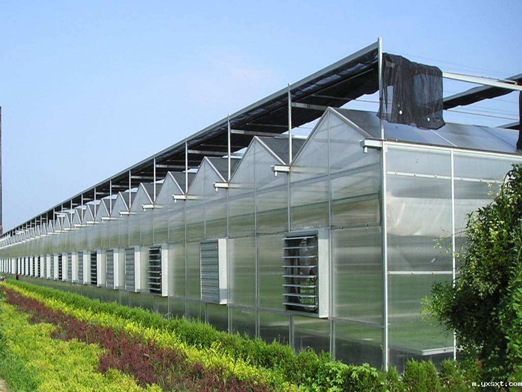 2019冬季温室大棚设计需考虑的五大因素影响