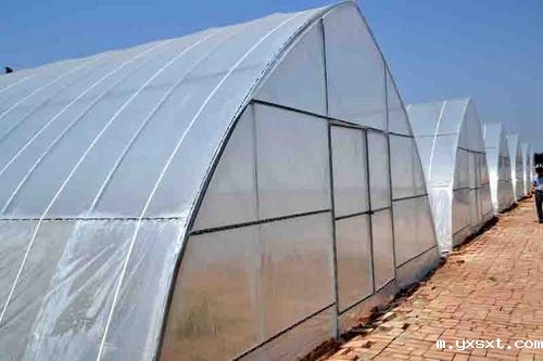 这么选购棚膜，温室大棚平安过冬