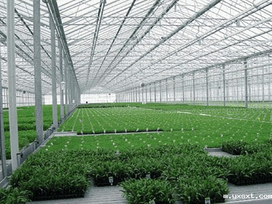 温室蔬菜大棚遭遇低温如何防备？