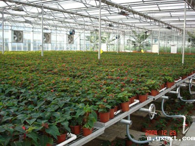 温室具备哪些育苗设备，可加快蔬菜产业现代化进程？