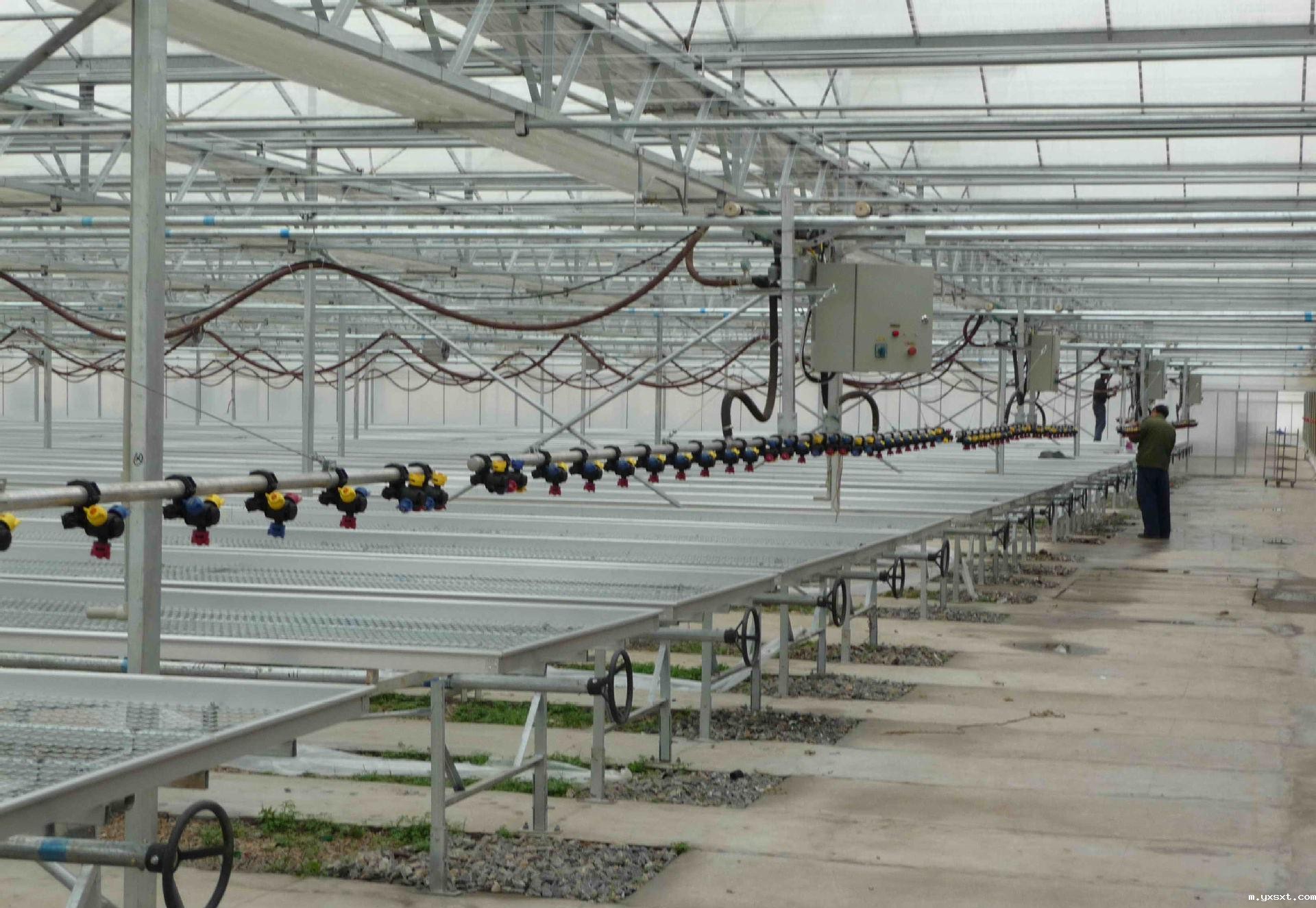 温室育苗喷灌机的结构是什么样的？