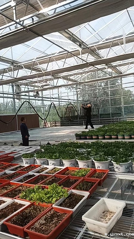 雷竞技安卓app官方版下载