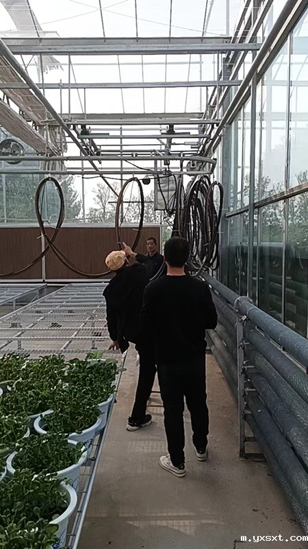 雷竞技安卓app官方版下载