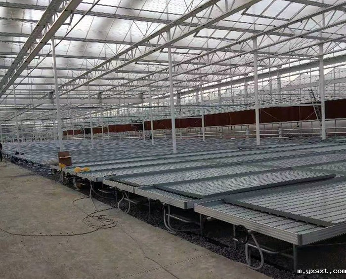 温室育苗床
