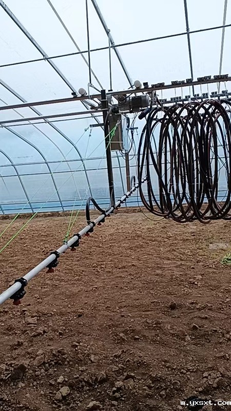 雷竞技安卓app官方版下载