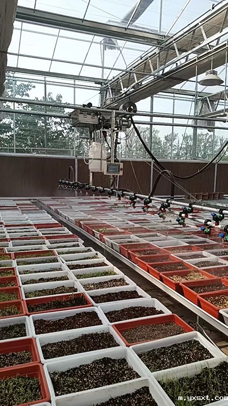 雷竞技安卓app官方版下载