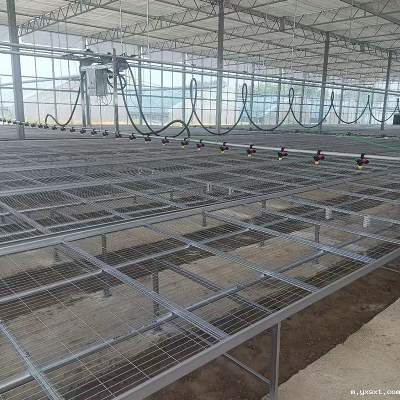温室育苗床