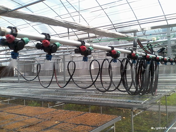 搞温室大棚育苗的朋友注意了，用喷灌机时一定要做的